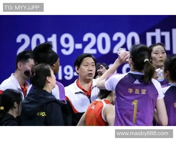 杭州排球队实力引发热议球迷观点各异争论不断